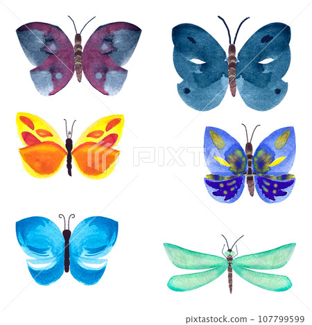 Hand painted watercolor bright buterflies set Hand painted watercolor bright buterflies set 107799599