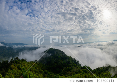 beautiful sea of mist and forest, view from Aiyoeweng View Point, Yala Thailand 107800413