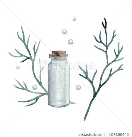 Set of glass jar, vase with wooden stopper, lid. Ocean blue seaweed, coral. Watercolor hand drawn clipart isolated on white background. set of beakers for biological and medical experiments. 107800443