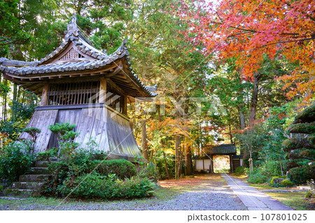 秋天的楓葉和鐘樓/秋天的龍潭寺（京都府龜岡市） 107801025