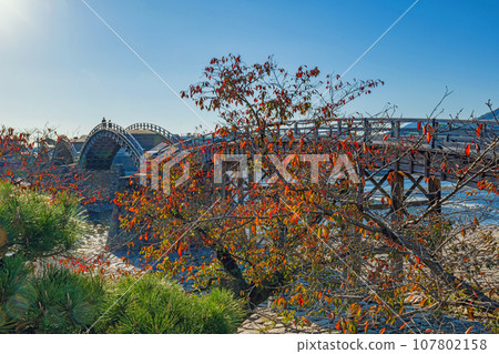 Autumn scenery of Kintaikyo Bridge, one of Japan's three famous bridges in Yamaguchi Autumn scenery of Kintaikyo Bridge, one of Japan's three famous bridges in Yamaguchi 107802158