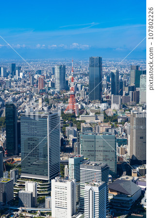 東京鐵塔注視著東京不斷發展的城市景觀 東京鐵塔注視著東京不斷發展的城市景觀 107802226