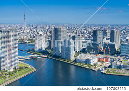 在晴朗的日子裡，從東京晴空塔鳥瞰城市 107802233