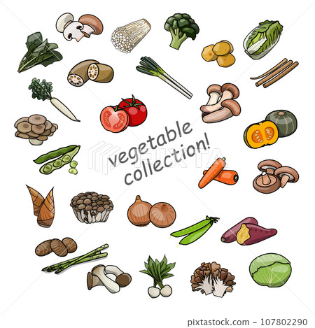 Pop vegetable set illustration material Pop vegetable set illustration material 107802290