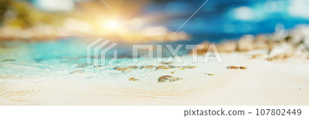 Lost ocean coastline paradise Lost ocean coastline paradise 107802449