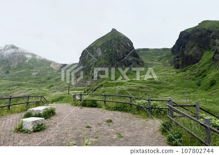 Rebun Island Momoiwa 107802744