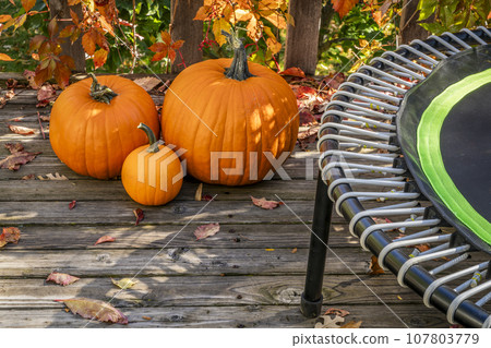 mini fitness trampoline in backyard patio 107803779