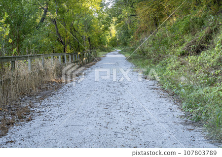 forest road in October - Steamboat Trace Trail converted from old railroad near Brownville, Nebraska 107803789