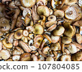 Japanese oak mushroom soaked in salt water 107804085