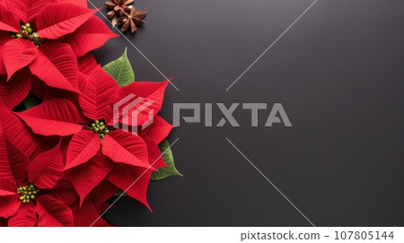 poinsettia flowers with copy space 107805144