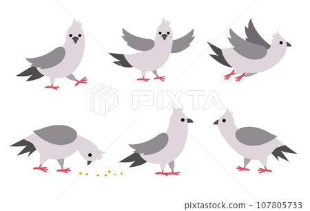 Pigeons set. City bird vector illustration. Cute character icons collection isolated on white background. French symbol picture Pigeons set. City bird vector illustration. Cute character icons collection isolated on white background. French symbol picture 107805733