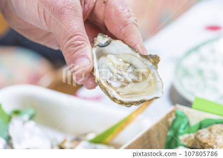 Close up for men's hand holding the open oyster Close up for men's hand holding the open oyster 107805786