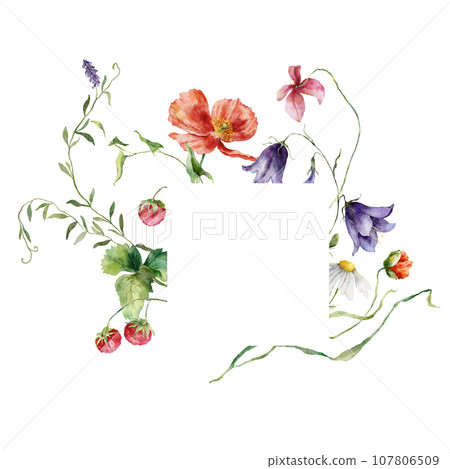 Watercolor floral frame of meadow flowers, poppies, raspberries, chamomiles and campanulas. Hand painted illustration isolated on white background. For design, print, fabric or background. Watercolor floral frame of meadow flowers, poppies, raspberries, chamomiles and campanulas. Hand painted illustration isolated on white background. For design, print, fabric or background. 107806509