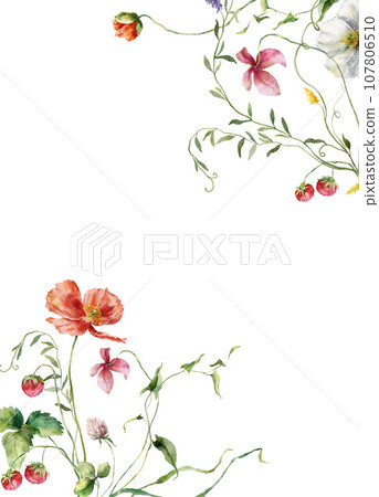 Watercolor floral border of meadow flowers, poppies, raspberries, cornflowers and clover. Hand painted illustration isolated on white background. For design, print, fabric or background. 107806510