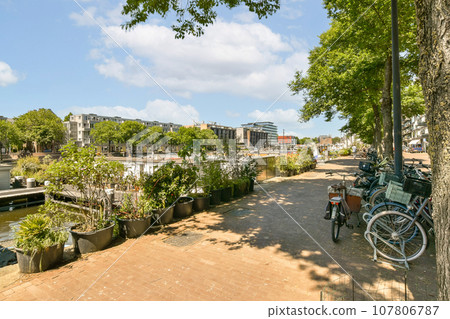 a bike parked next to a tree on the side of a river with buildings in the background and blue sky 107806787