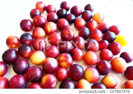 Cherry plum on a white background. A yellow-red cherry plum mix just removed from a tree. Delicious fresh plum berries. Appetizing large cherry plum for sale catalog. Food on a white background Cherry plum on a white background. A yellow-red cherry plum mix just removed from a tree. Delicious fresh plum berries. Appetizing large cherry plum for sale catalog. Food on a white background 107807476