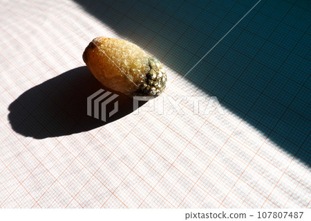 Gallstone disease, cholelithiasis - the formation of stones, stones in the gallbladder, bile ducts. Gallstones. A large gallstone removed from a patient's body, 2.5 cm long. 107807487