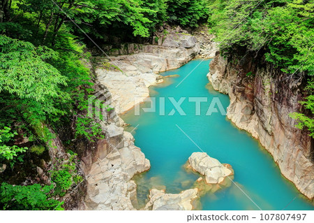 Higase Valley 107807497