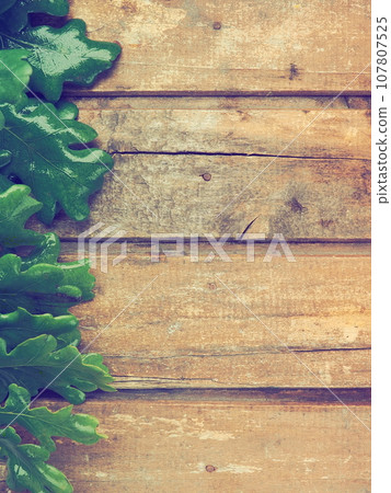 wet oak leaves and branches from the left side. Wooden planks background, free space for text. Copy space. Theme of ecology, spring, green economy. Postcard or poster. wet oak leaves and branches from the left side. Wooden planks background, free space for text. Copy space. Theme of ecology, spring, green economy. Postcard or poster. 107807525