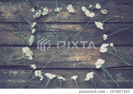 White wildflowers are arranged in a circle on a wooden table background. Yarrow inflorescences. Horizontal boards. Romantic Provence rustic style White wildflowers are arranged in a circle on a wooden table background. Yarrow inflorescences. Horizontal boards. Romantic Provence rustic style 107807583