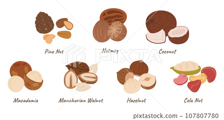 Nuts Collection, Pine Nut, Nutmeg, Coconut, Macadamia Cashew, and Manchurian Walnut, Hazelnut or Cola Nut Kernels Nuts Collection, Pine Nut, Nutmeg, Coconut, Macadamia Cashew, and Manchurian Walnut, Hazelnut or Cola Nut Kernels 107807780
