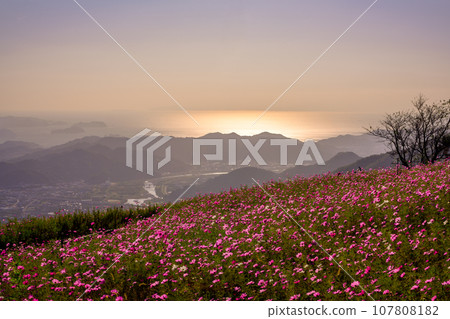 閃亮的海洋和宇宙領域 閃亮的海洋和宇宙領域 107808182