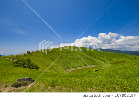 [Shizuoka Prefecture] Scenery of Mt. Omuro, Izu 107808197