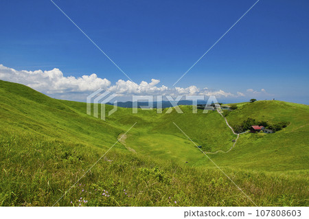 [靜岡縣] 伊豆大室山風景 107808603