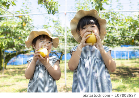 秋天享受採梨的女孩 107808657