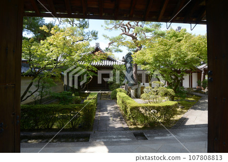 Myoshinji Temple Reiunin Hanazono, Ukyo Ward, Kyoto City 107808813