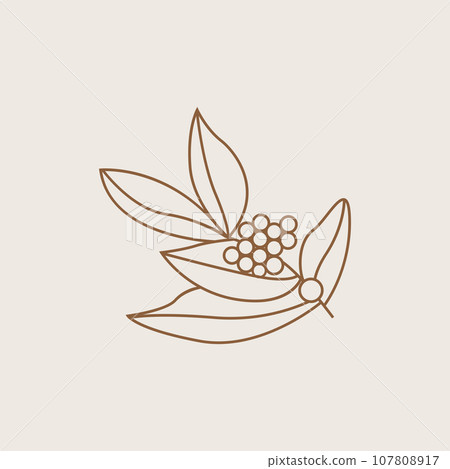Coffee Logo, Coffee Tree Design, Cafe Drink Vector, Icon Brand Illustration Symbol Coffee Logo, Coffee Tree Design, Cafe Drink Vector, Icon Brand Illustration Symbol 107808917