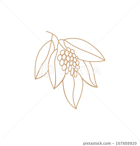 Coffee Logo, Coffee Tree Design, Cafe Drink Vector, Icon Brand Illustration Symbol Coffee Logo, Coffee Tree Design, Cafe Drink Vector, Icon Brand Illustration Symbol 107808920