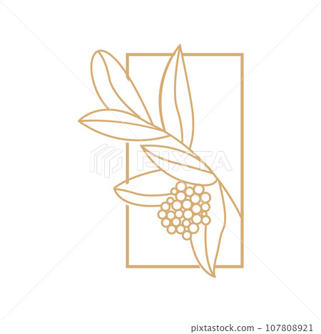 Coffee Logo, Coffee Tree Design, Cafe Drink Vector, Icon Brand Illustration Symbol Coffee Logo, Coffee Tree Design, Cafe Drink Vector, Icon Brand Illustration Symbol 107808921