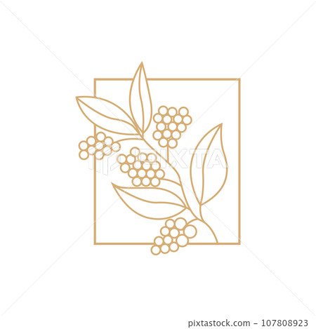 Coffee Logo, Coffee Tree Design, Cafe Drink Vector, Icon Brand Illustration Symbol Coffee Logo, Coffee Tree Design, Cafe Drink Vector, Icon Brand Illustration Symbol 107808923