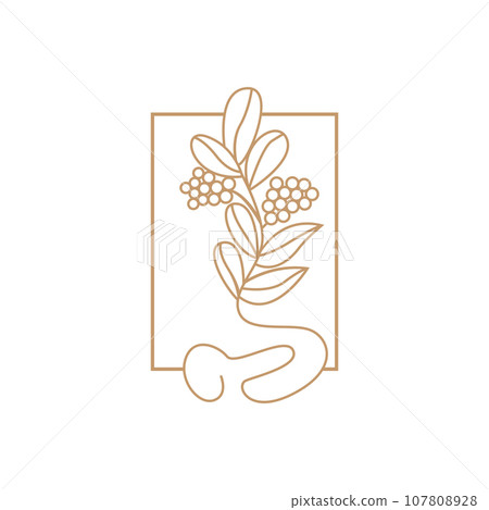 Coffee Logo, Coffee Tree Design, Cafe Drink Vector, Icon Brand Illustration Symbol Coffee Logo, Coffee Tree Design, Cafe Drink Vector, Icon Brand Illustration Symbol 107808928