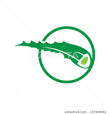 Aloe Vera Logo, Green Plant Health Design, Vector Illustration Symbol Aloe Vera Logo, Green Plant Health Design, Vector Illustration Symbol 107809062