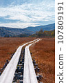 Oze National Park scenery 107809191