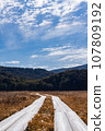 Oze National Park scenery 107809192