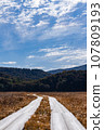 Oze National Park scenery 107809193