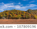 Oze National Park scenery 107809196