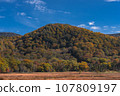 Oze National Park scenery 107809197
