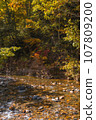 Oze National Park scenery 107809200