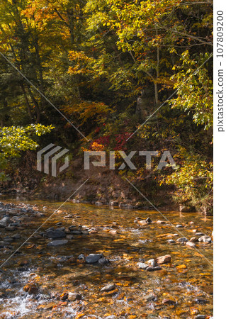 Oze National Park scenery 107809200
