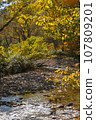 Oze National Park scenery 107809201