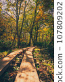 Oze National Park scenery 107809202