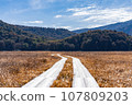 Oze National Park scenery 107809203