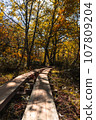 Oze National Park scenery 107809204