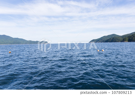 生長著養殖扇貝的三陸美麗海域 107809213