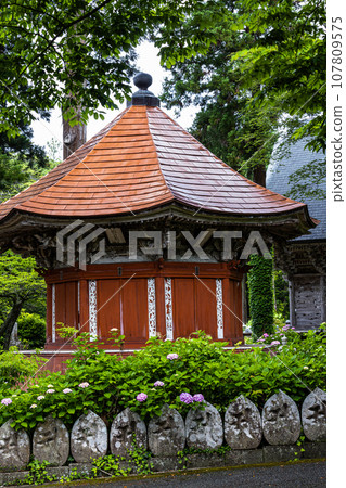 [新潟縣佐渡蓮華法寺]7000株繡球花盛開的繡球寺 107809575