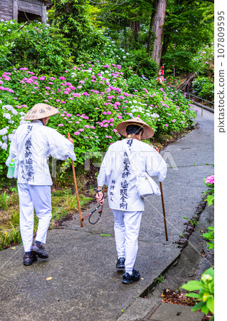 [新潟縣佐渡蓮華法寺]7000株繡球花盛開的繡球寺 107809595
